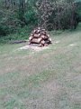 20140823_152941