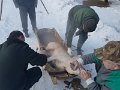 20170211_075410