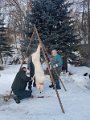 20170211_080914